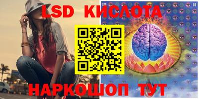 шишки Будённовск