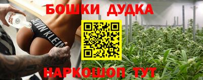шишки Будённовск
