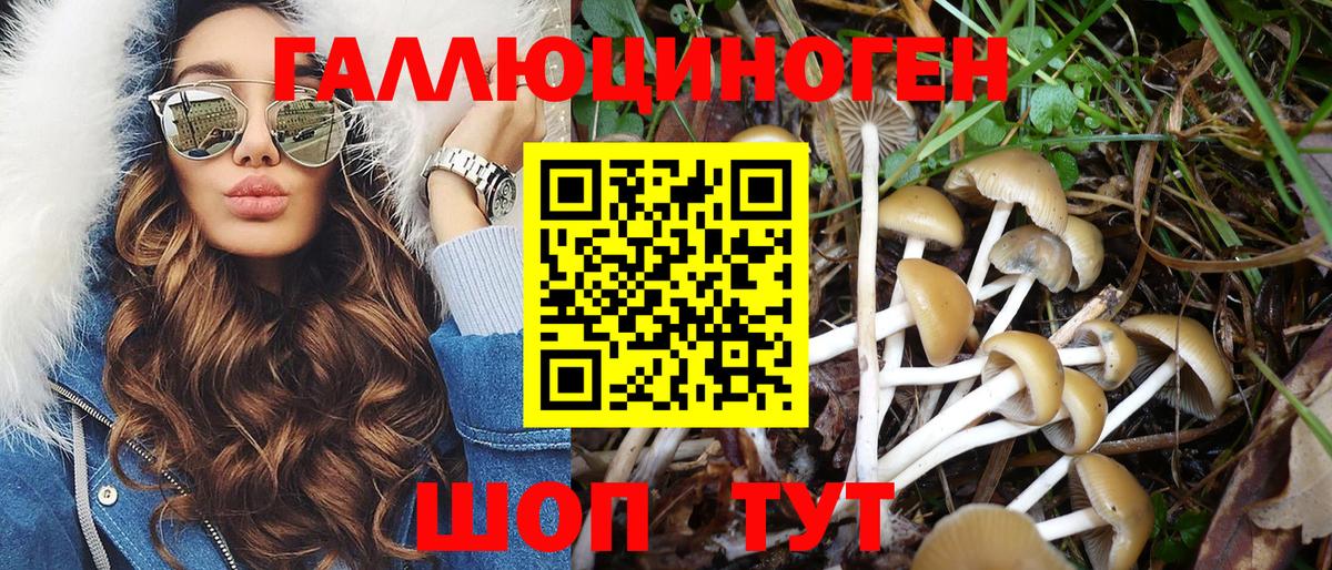 Псилоцибиновые грибы MAGIC MUSHROOMS  Вход с VPN  Прокопьевск 