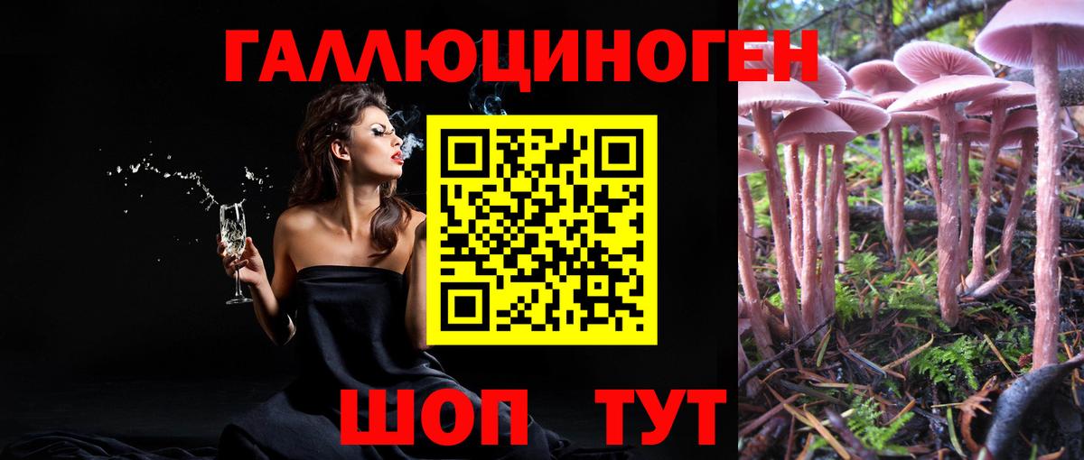 Псилоцибиновые грибы Psilocybe Прокопьевск